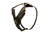 Leather Harnesses